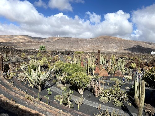 Lanzarote in 5 giorni