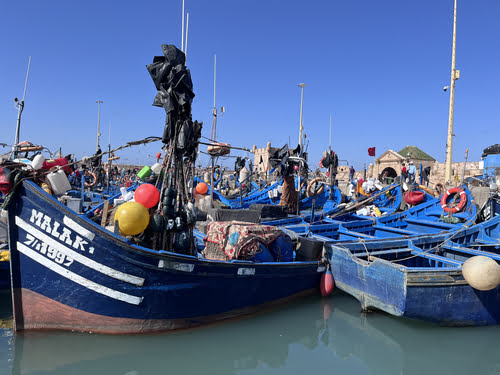 esplorare essaouira e le sue barche blu 