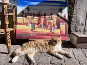 essaouira gatti nella medina