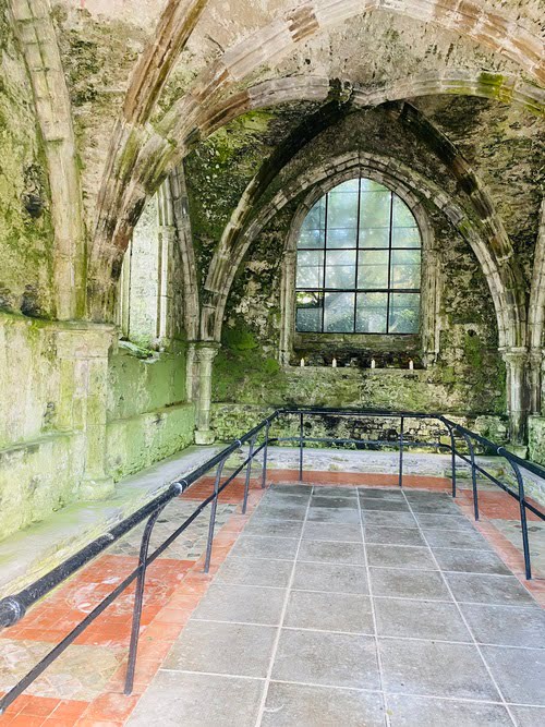 sala capitolare di Mellifont Abbey