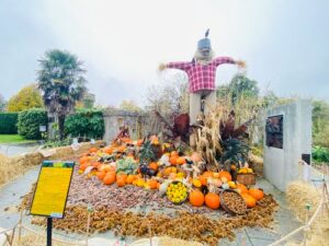 Zucche di Halloween al National Botanic Gardens di Dublino